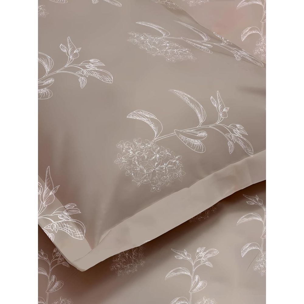 Satin Glory 200 TC Pure Cotton Single Bedsheet - Brown