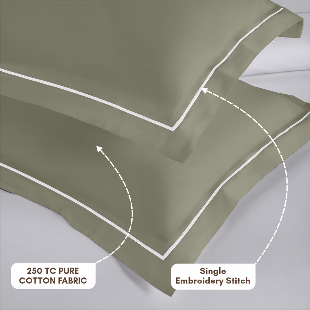 Elegance 250 TC King Bedsheet - Sage Green