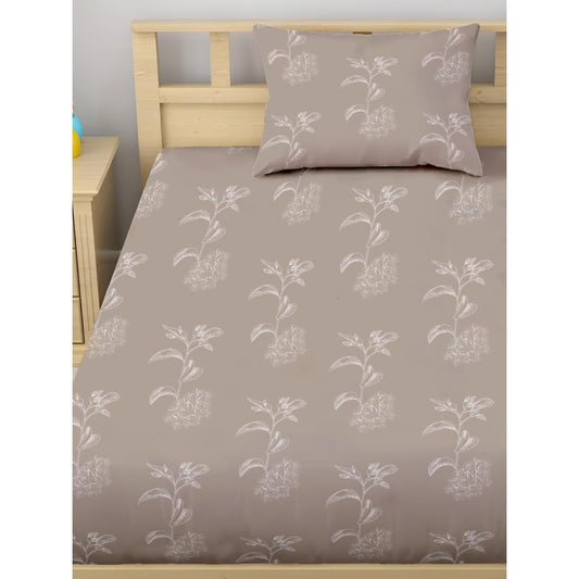 Satin Glory 200 TC Pure Cotton Single Bedsheet  - Brown